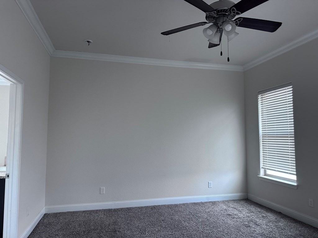 1813 Rattler Ln - Photo 7 of 14