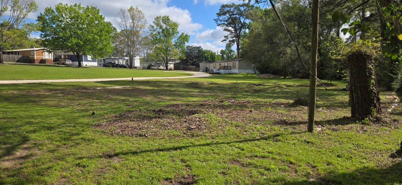 29810 Lazy Ln #1A - Photo 4 of 6