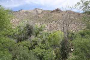 featured image of 6655 N Canyon Crest Dr Unit 23201