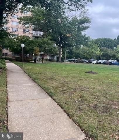 4410 Oglethorpe St #717