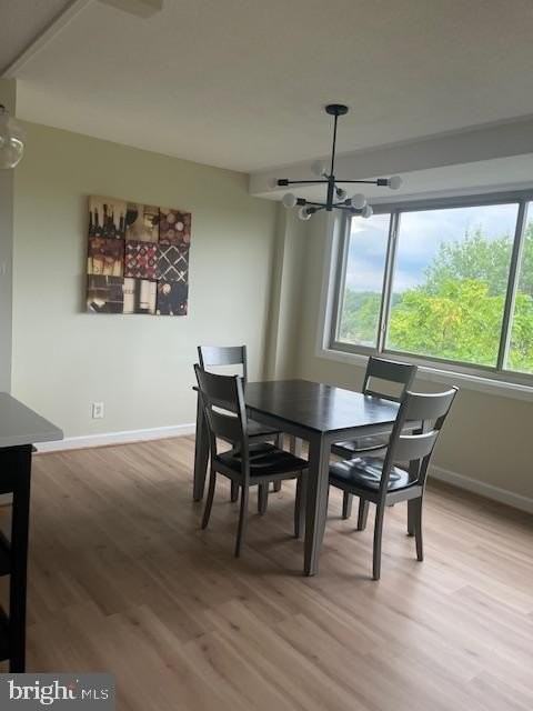 4410 Oglethorpe St #717 - Photo 5 of 50