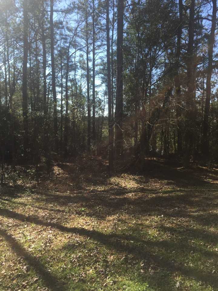1158 Burt Loop Rd #1 - Photo 2 of 7