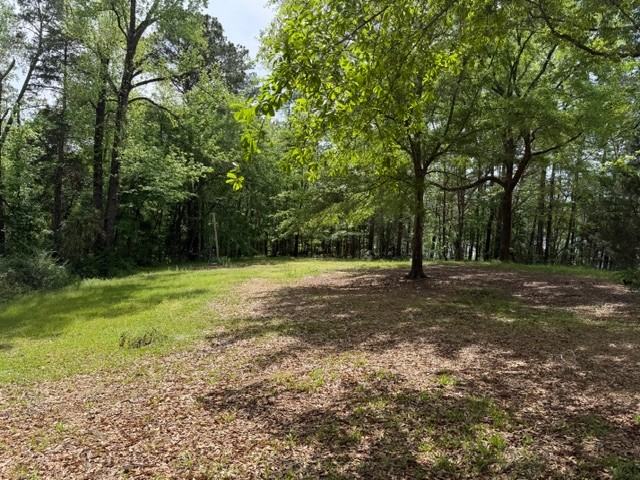 1158 Burt Loop Rd #1 - Photo 5 of 7
