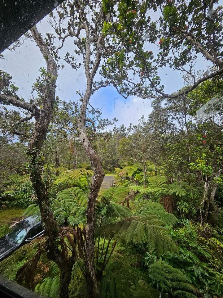 11-2917 Kamakahala St - Photo 4 of 13