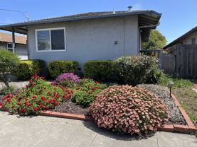 1656 150th Ave - Photo 1 of 1