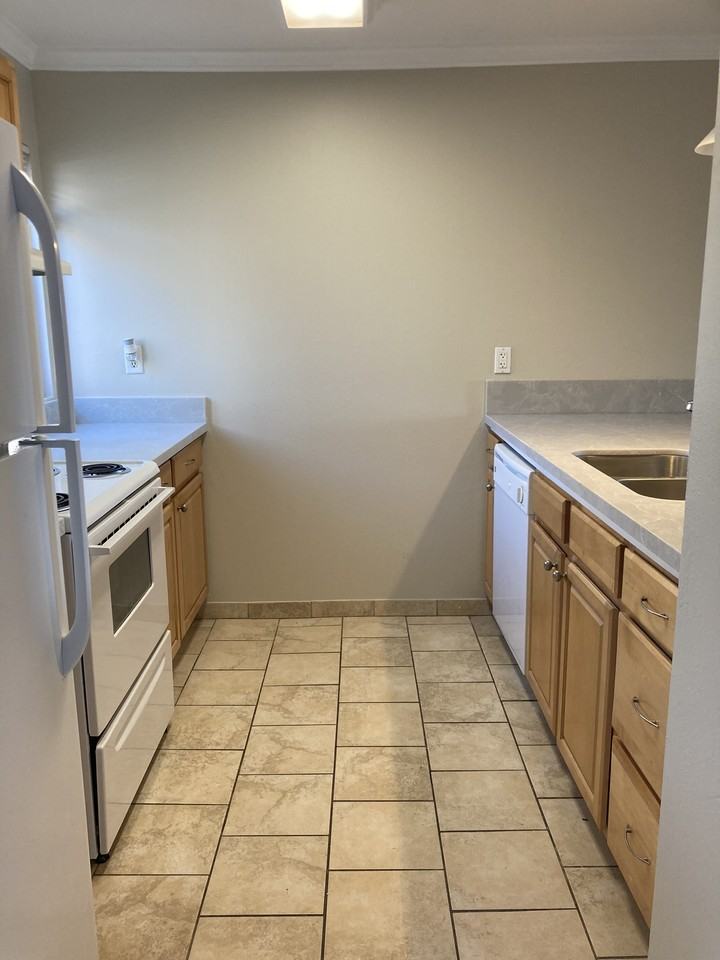 4198 Mount Alifan Pl #M - Photo 5 of 20