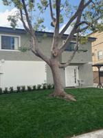 featured image of 2400 Seneca Street #102