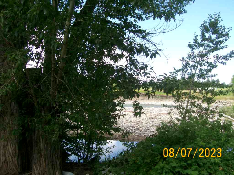 27901 Norris Rd #112 - Photo 2 of 46