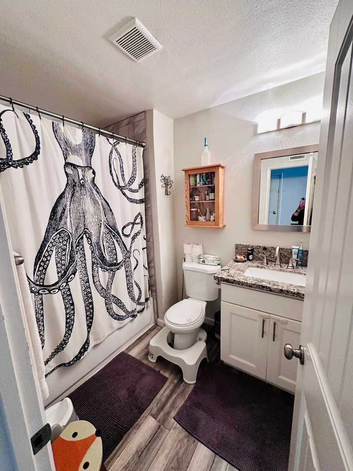 3823 Via Del Conquistador - Photo 6 of 9