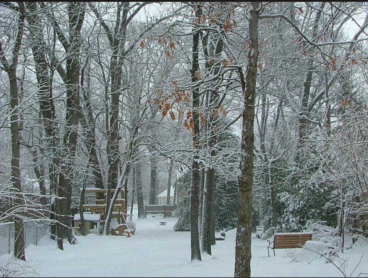 545 Old Stage Rd - Photo 5 of 29