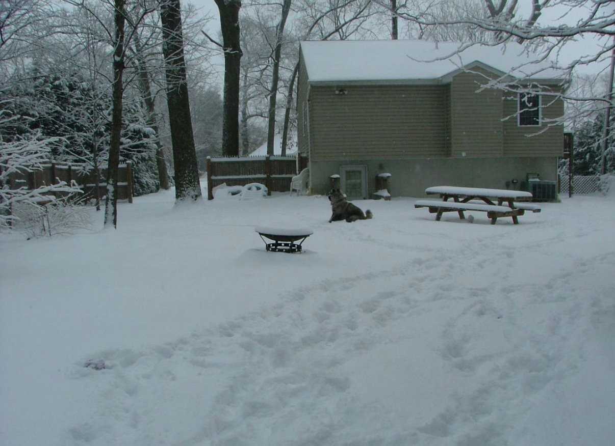 545 Old Stage Rd - Photo 6 of 29