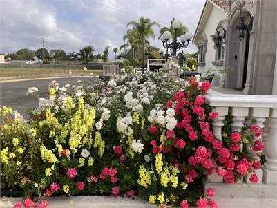 1010 S Elliott Pl - Photo 6 of 6