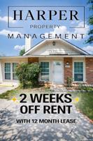 featured image of 8033 Big Bnd