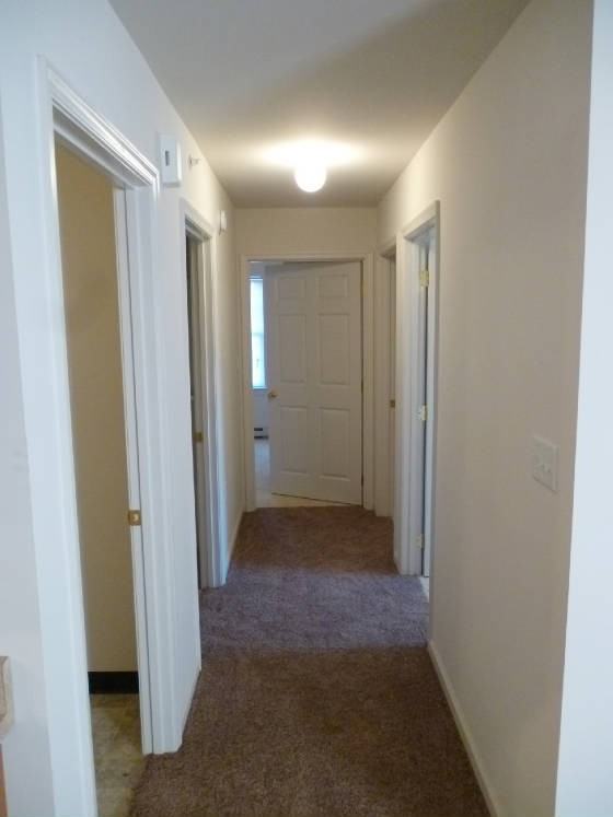 1419 Doron Dr Apt 1a #1A - Photo 4 of 6