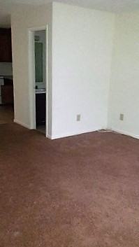 401 Golf Rd #204 - Photo 3 of 15