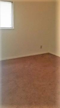 401 Golf Rd #204 - Photo 6 of 15