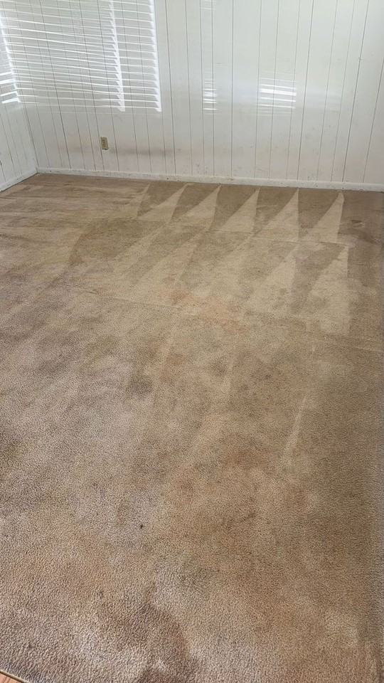 1125 S Mt Zion Rd - Photo 4 of 12