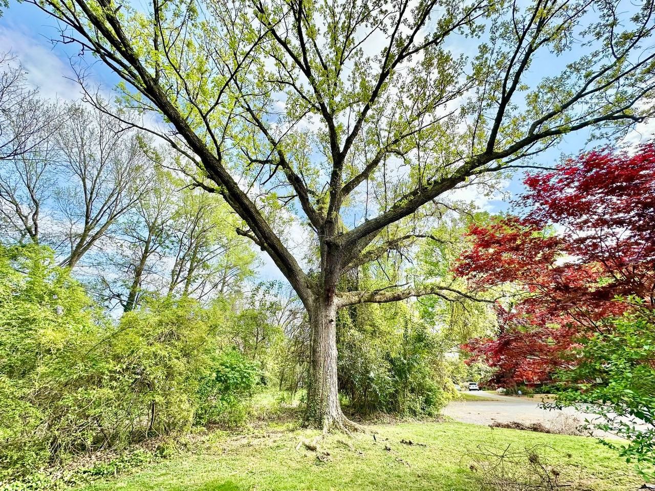 621 Hanover Ct - Photo 5 of 26