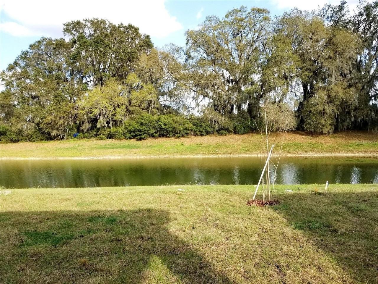 4923 Rolling Green Dr - Photo 3 of 36