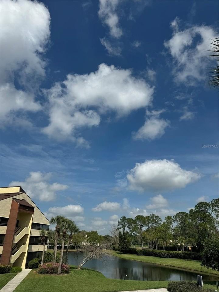 13608 S Village Dr #8203 - Photo 2 of 19