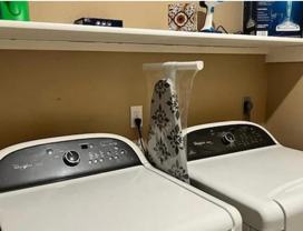 Spotted Cedar - Photo 1 of 1