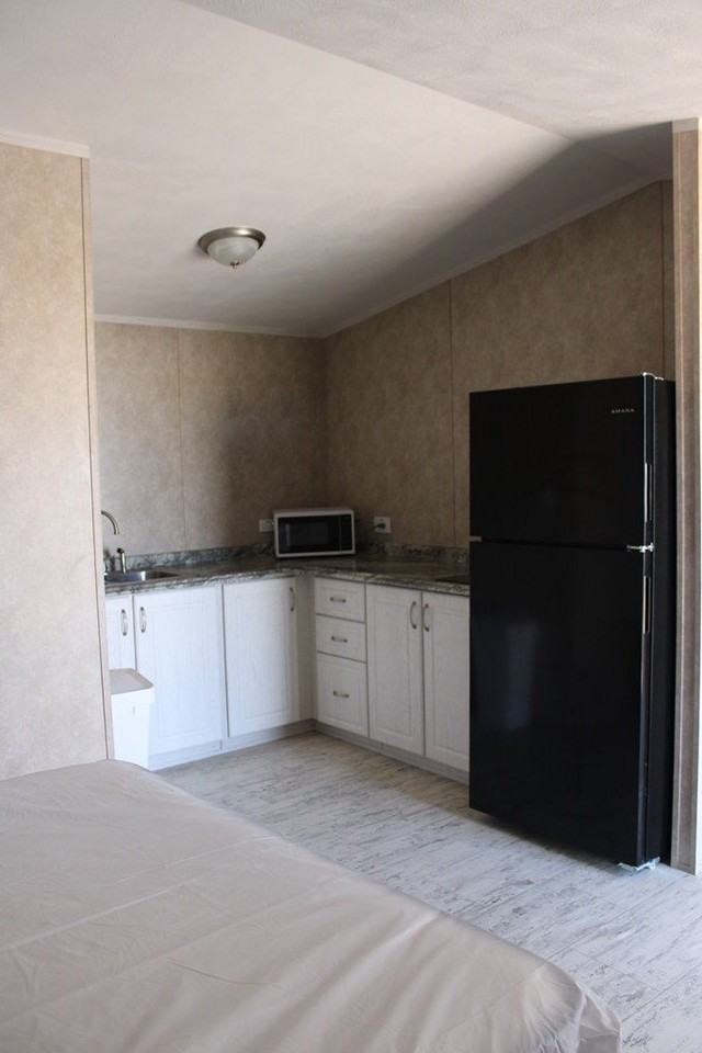 N Farm To Market 866 - Photo 6 of 17