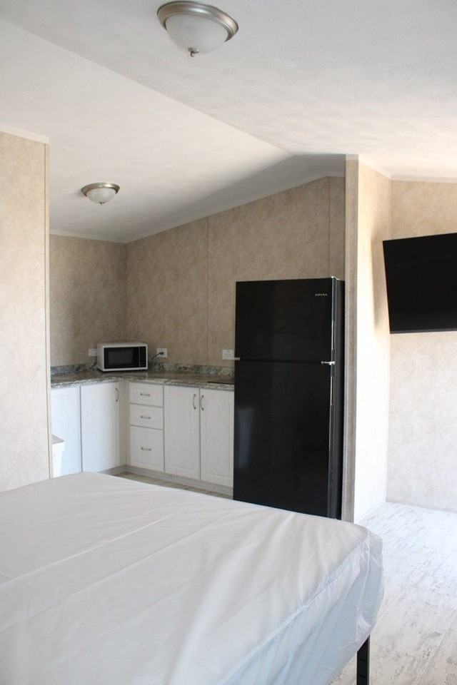 N Farm To Market 866 - Photo 7 of 17