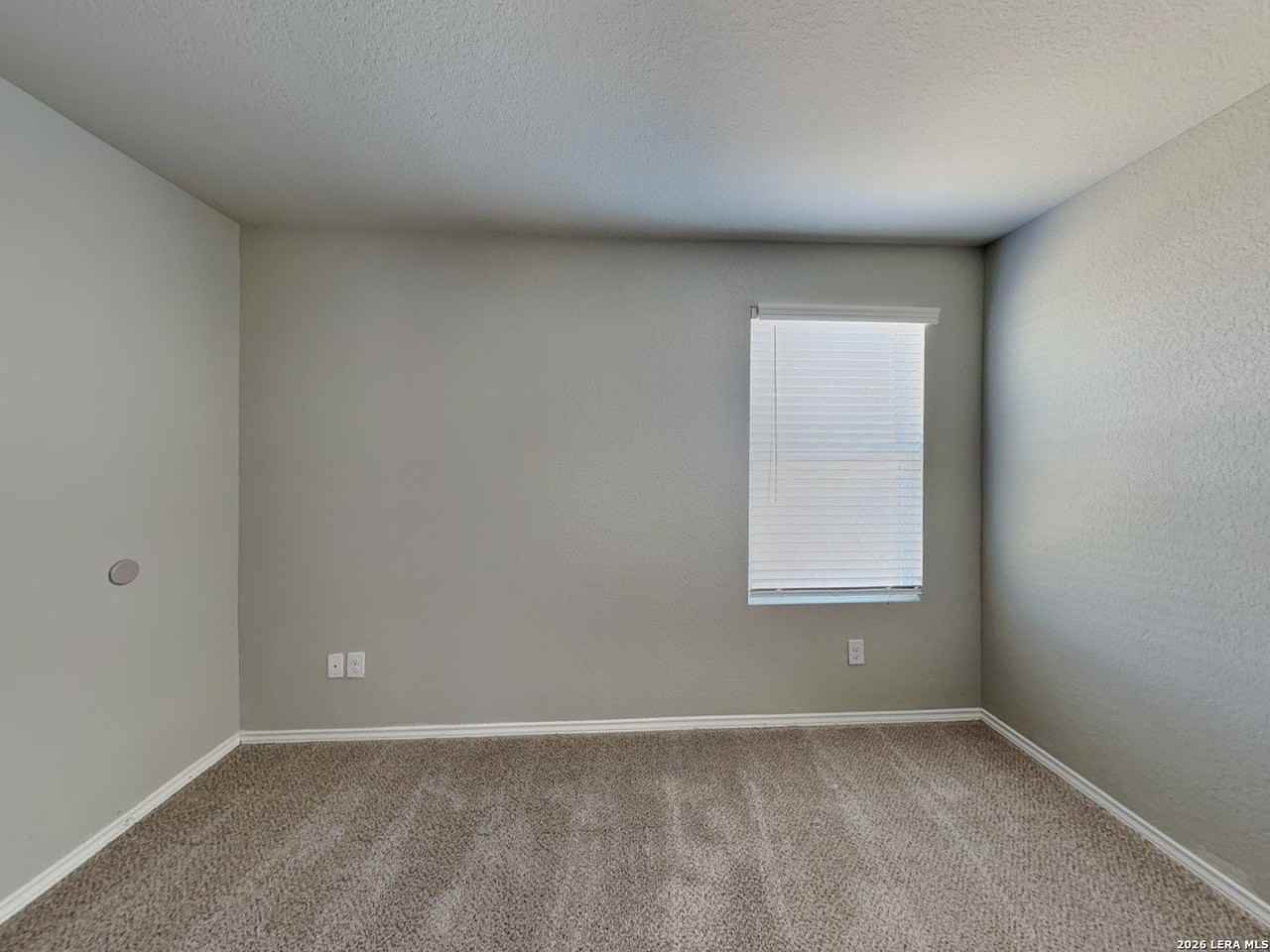 2423 Pechora Pipit - Photo 7 of 17