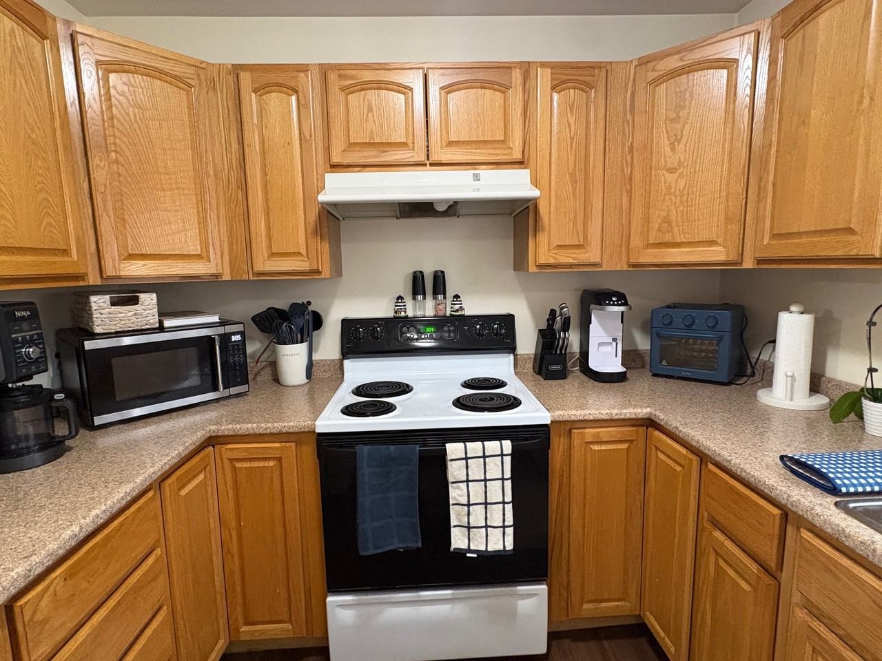 8 Husson Ave #3 - Photo 2 of 10