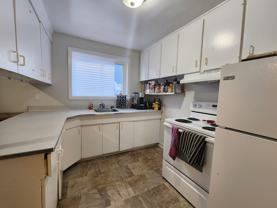 213 Glynn St - Photo 1 of 1