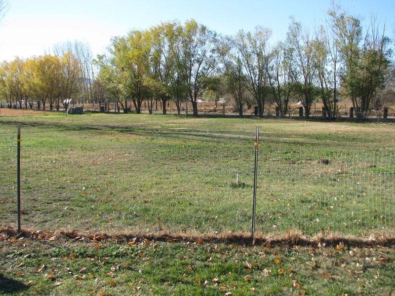 20905 S 2048 Pr Se - Photo 4 of 12