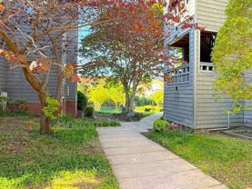 9031 J M Keynes Dr #47 - Photo 1 of 1