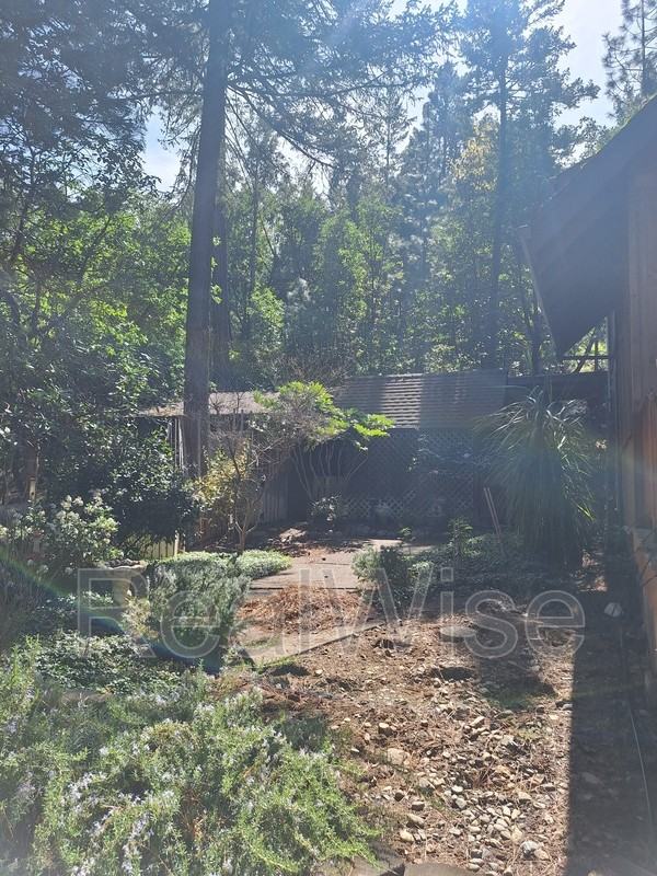 1711 Apache Dr - Photo 5 of 49