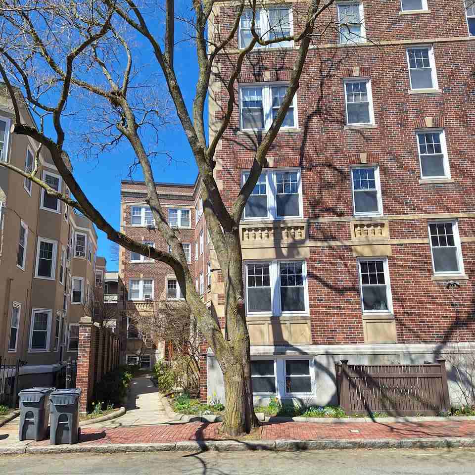 21 Shepard St #32 - Photo 6 of 8