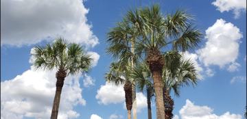 featured image of 5700 Nw 28th St