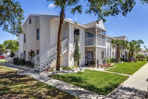 featured image of 4539 Coral Palms Ln