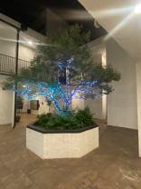 14411 Riverside Drive #8 - Photo 1 of 1