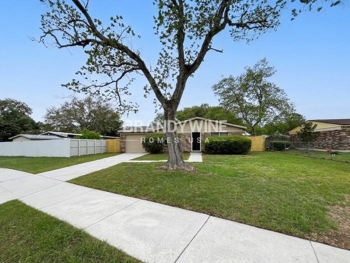 8409 Red Holly Ln - Photo 2 of 24