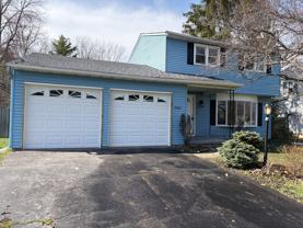 8561 Persian Ter #NA - Photo 1 of 1