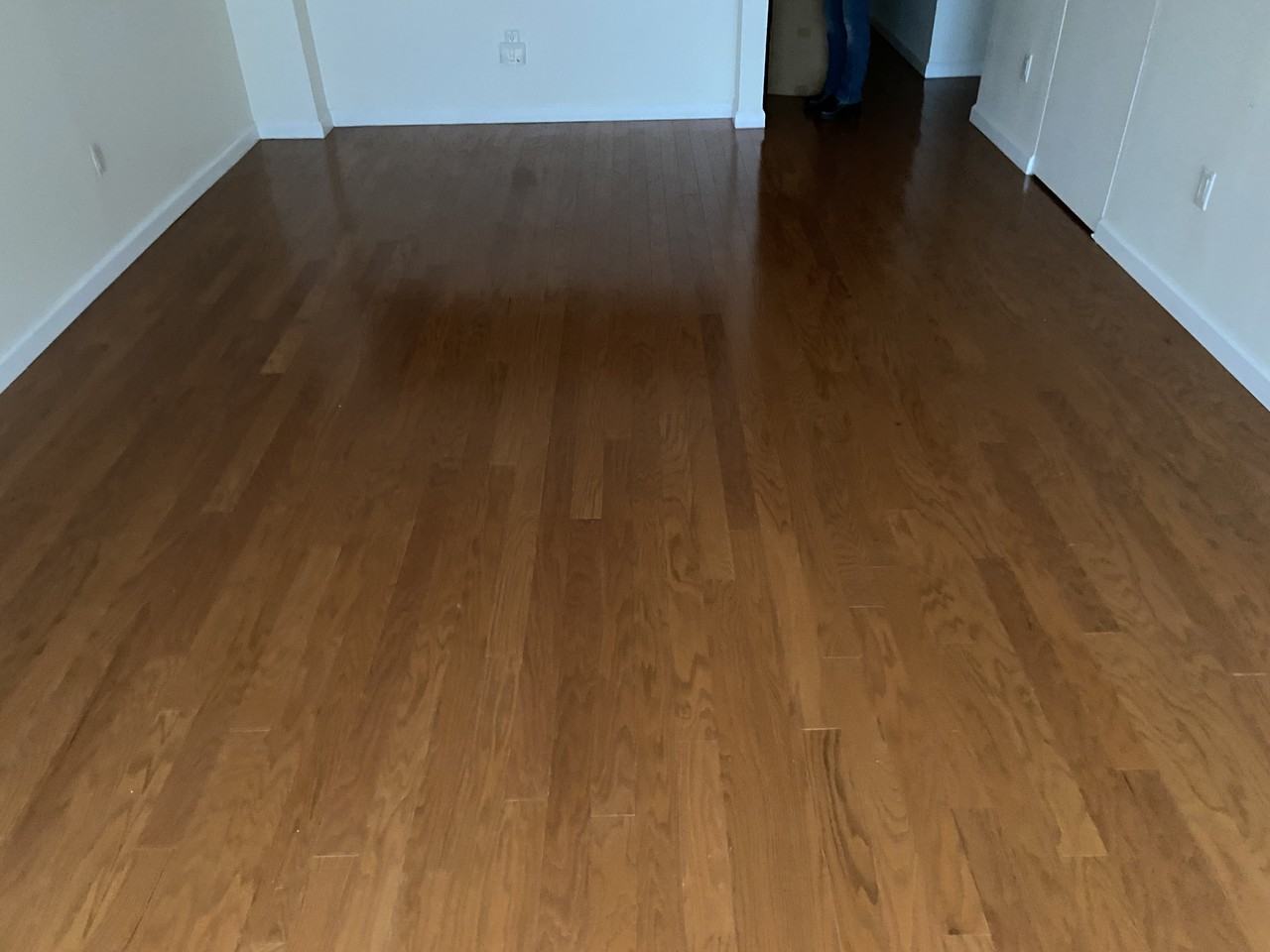 4 Martine Ave #814 - Photo 5 of 7