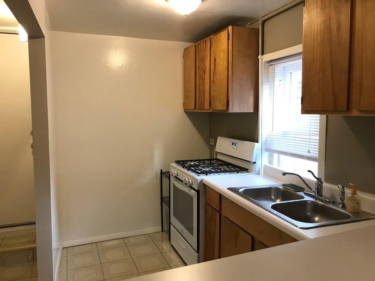 1310 W Argyle St - Photo 6 of 15