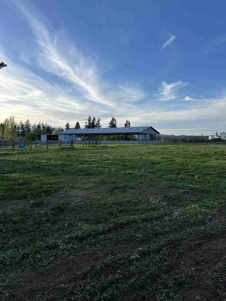 33465 Nieblock Ln #NA - Photo 4 of 27