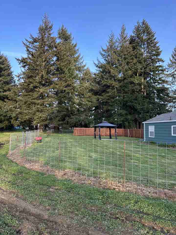 33465 Nieblock Ln #NA - Photo 7 of 27