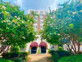 1925 16th St Nw #202 - Photo 1 of 1