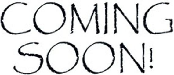 1292 W Ashley Rd - Photo 3 of 3