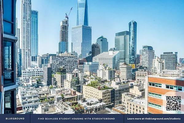 Duane St #22C - Photo 6 of 20