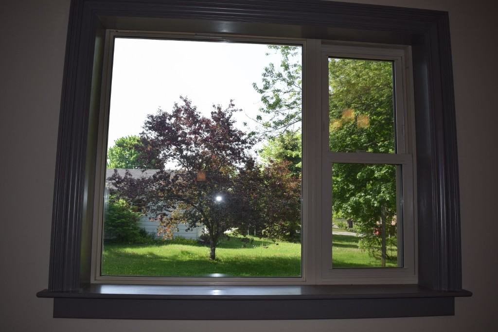 315 Bay Street #3 - Photo 5 of 14