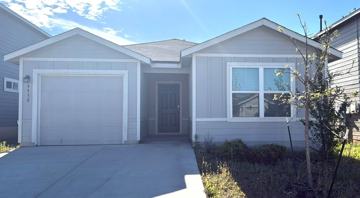 featured image of 9930 Spotted Rose