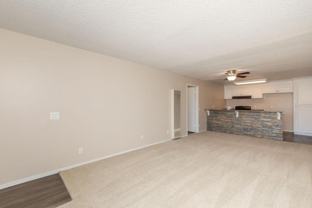 9950 Juanita St - Photo 1 of 1