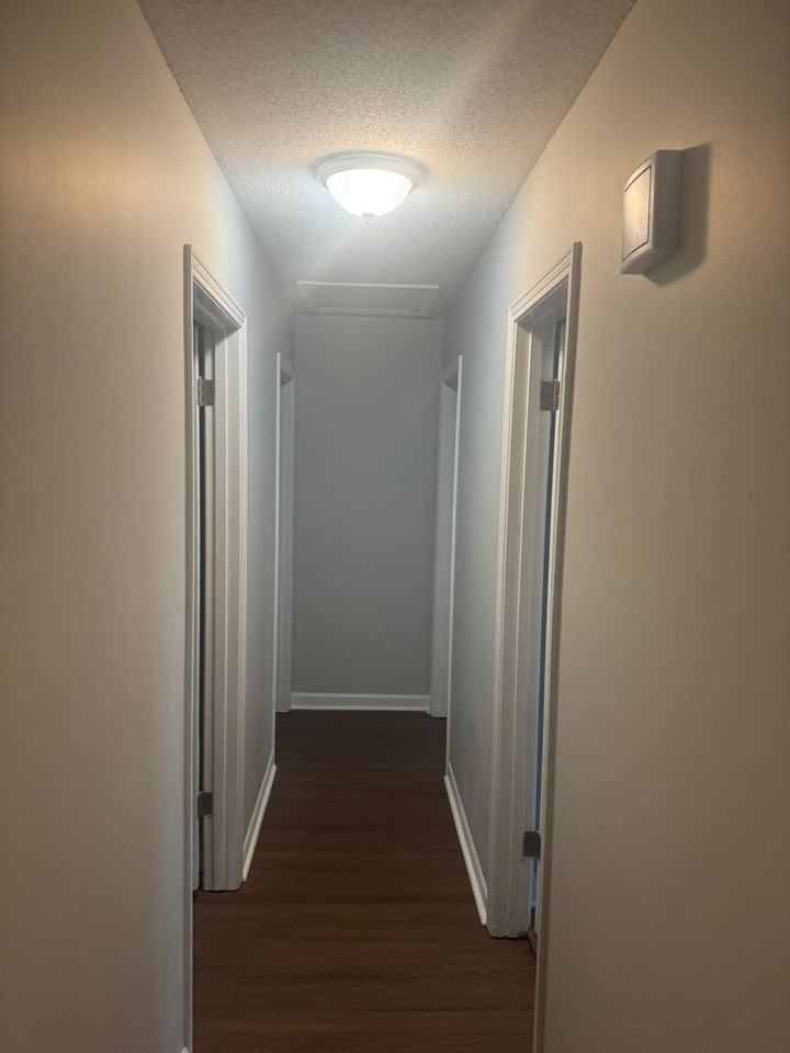 4168 Cochese Rd - Photo 6 of 9